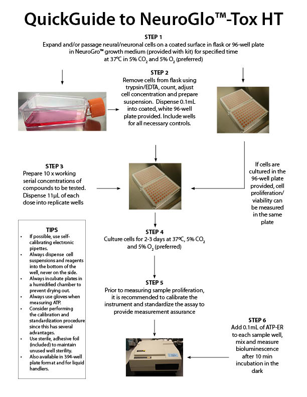 Standardized and Complete Bioluminescence Neurotoxicity Assays